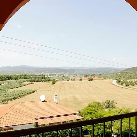 Vasiliki's *